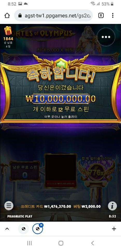 티에프먹튀