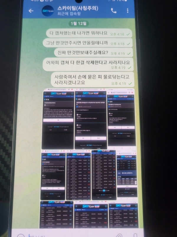 스카이팀먹튀