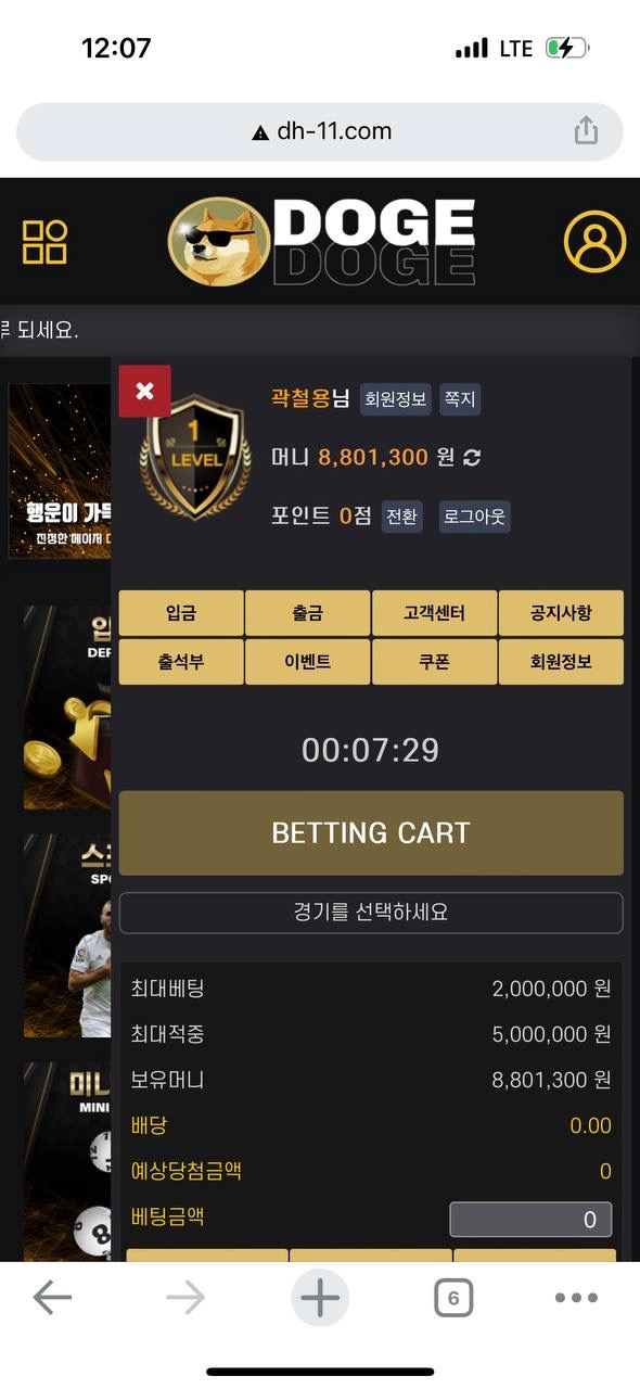 도지먹튀