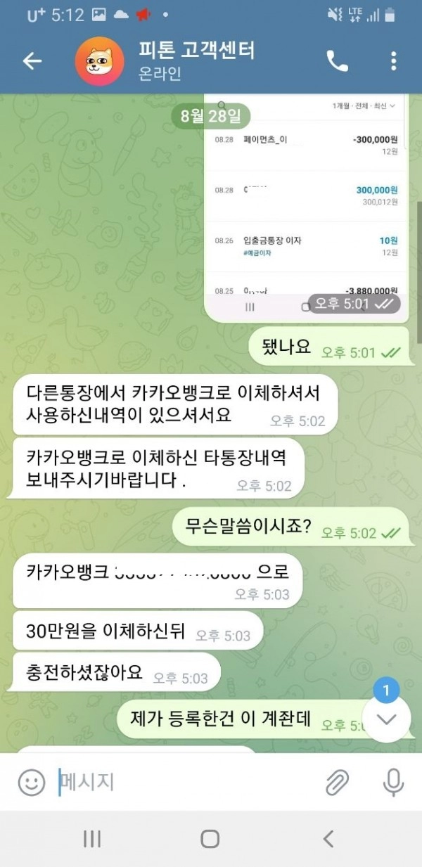 피톤먹튀