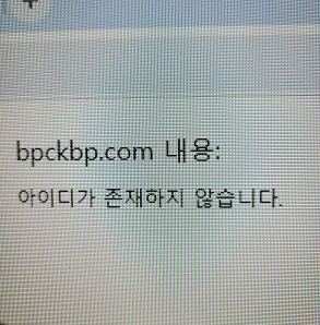 베픽  먹튀