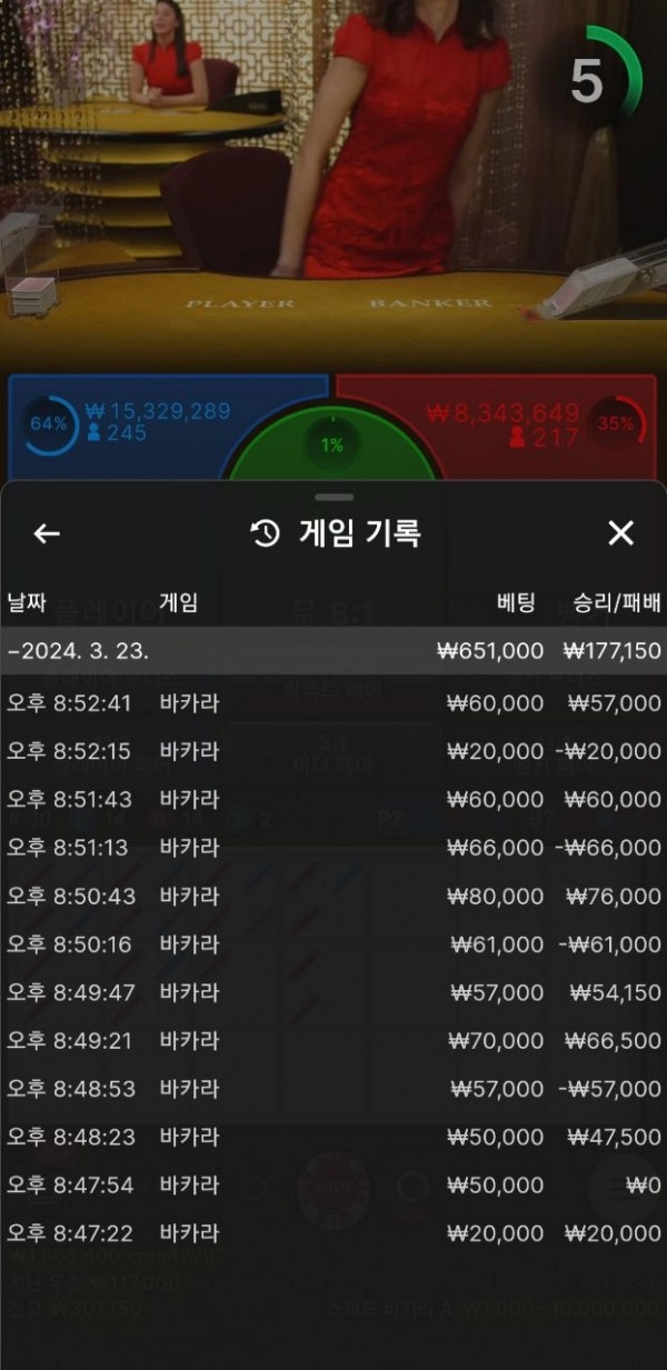 나이트벳 먹튀