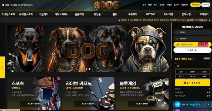 도그  먹튀
