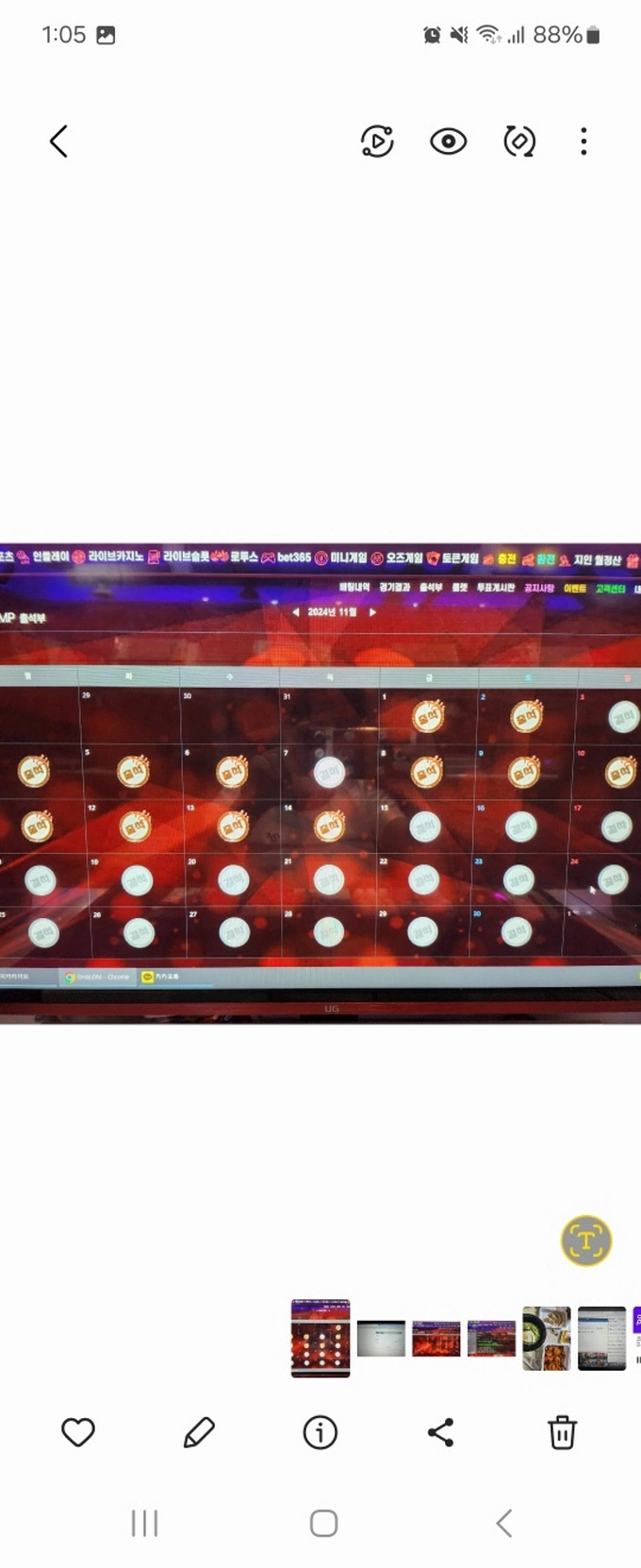 샬롬 먹튀